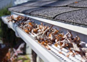 Clogged Gutters