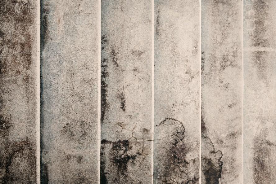 Scottsdale, AZ – Do You Have Stubborn Mold Stains around the House or Business?