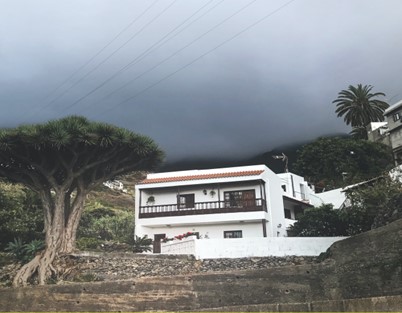 Mesa, AZ – Benefits of Acquiring Professional Wind & Storm Damage Services