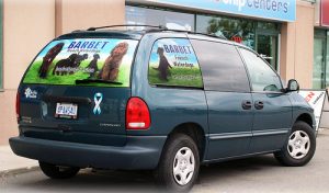 window graphics car