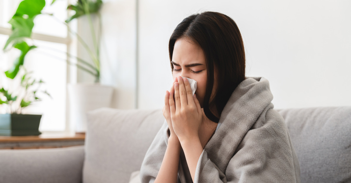Florence, AL - The Health Risks of Pest Infestations - Pest Control Services