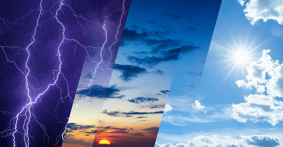Muscle Shoals, AL - How Does Weather Affect Pest Activity - Pest Control News