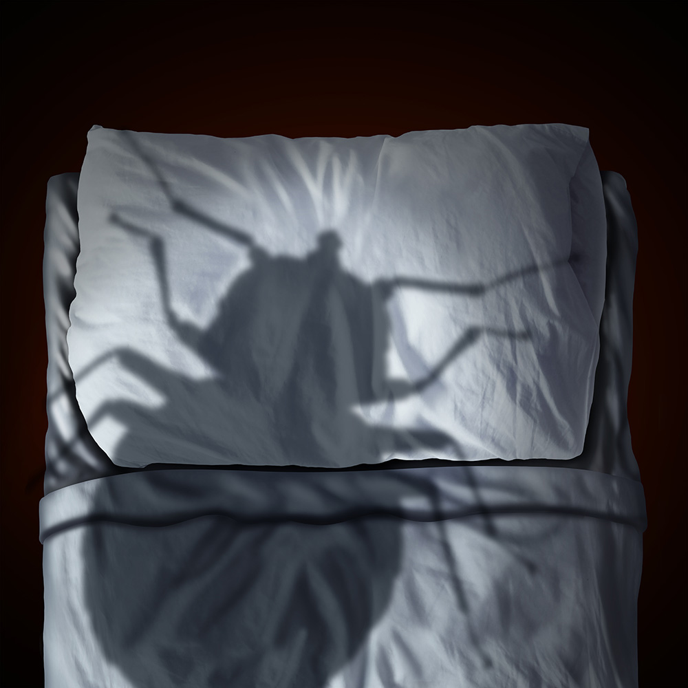 bed bug prevention tips