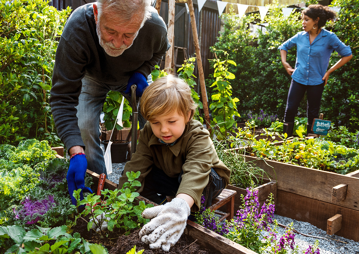 Garden Pest Control