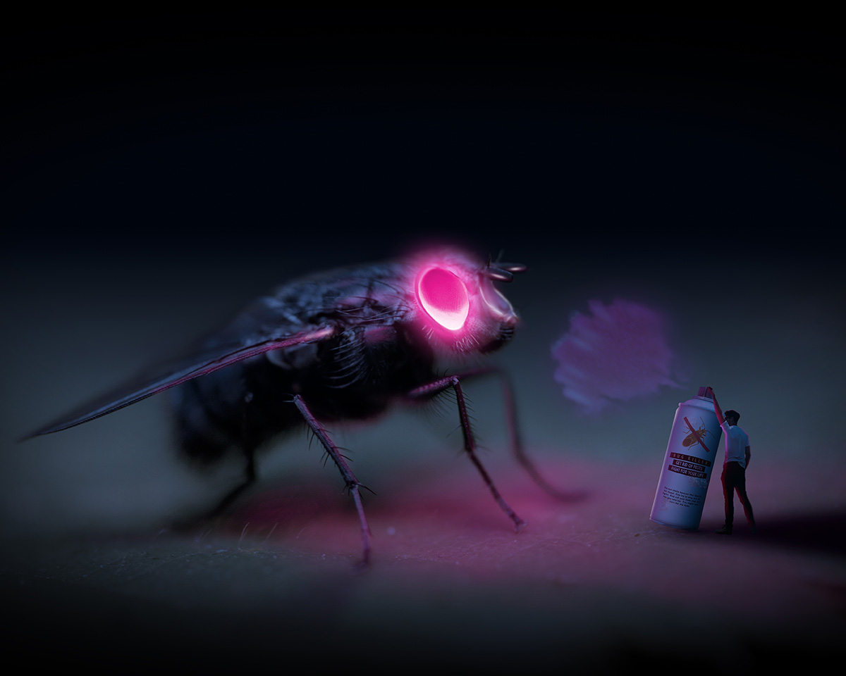 pest control myths