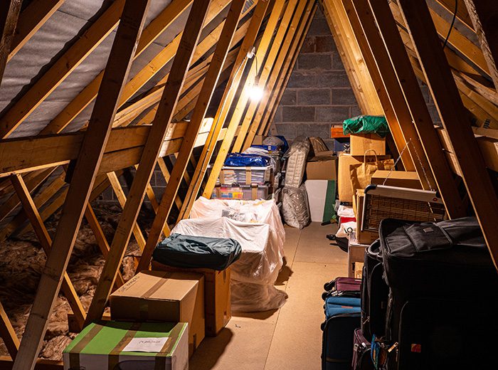squirrels in the attic