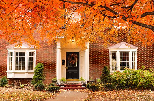 Fall pest control tips