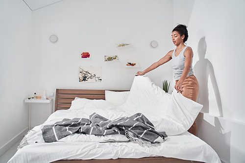 bed bug season