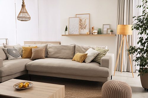 pest control advice