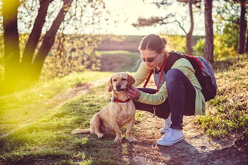 tick bite prevention