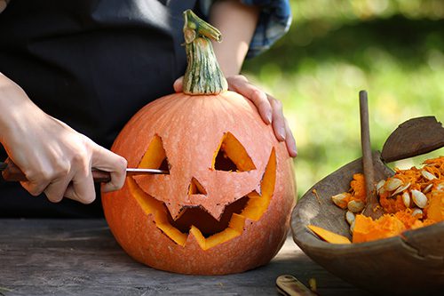 pumpkin pests