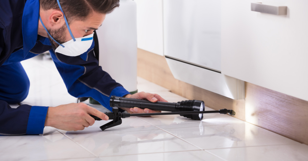 Muscle Shoals, AL - Pest-Proofing Your Home: Simple Steps to Keep Bugs Out