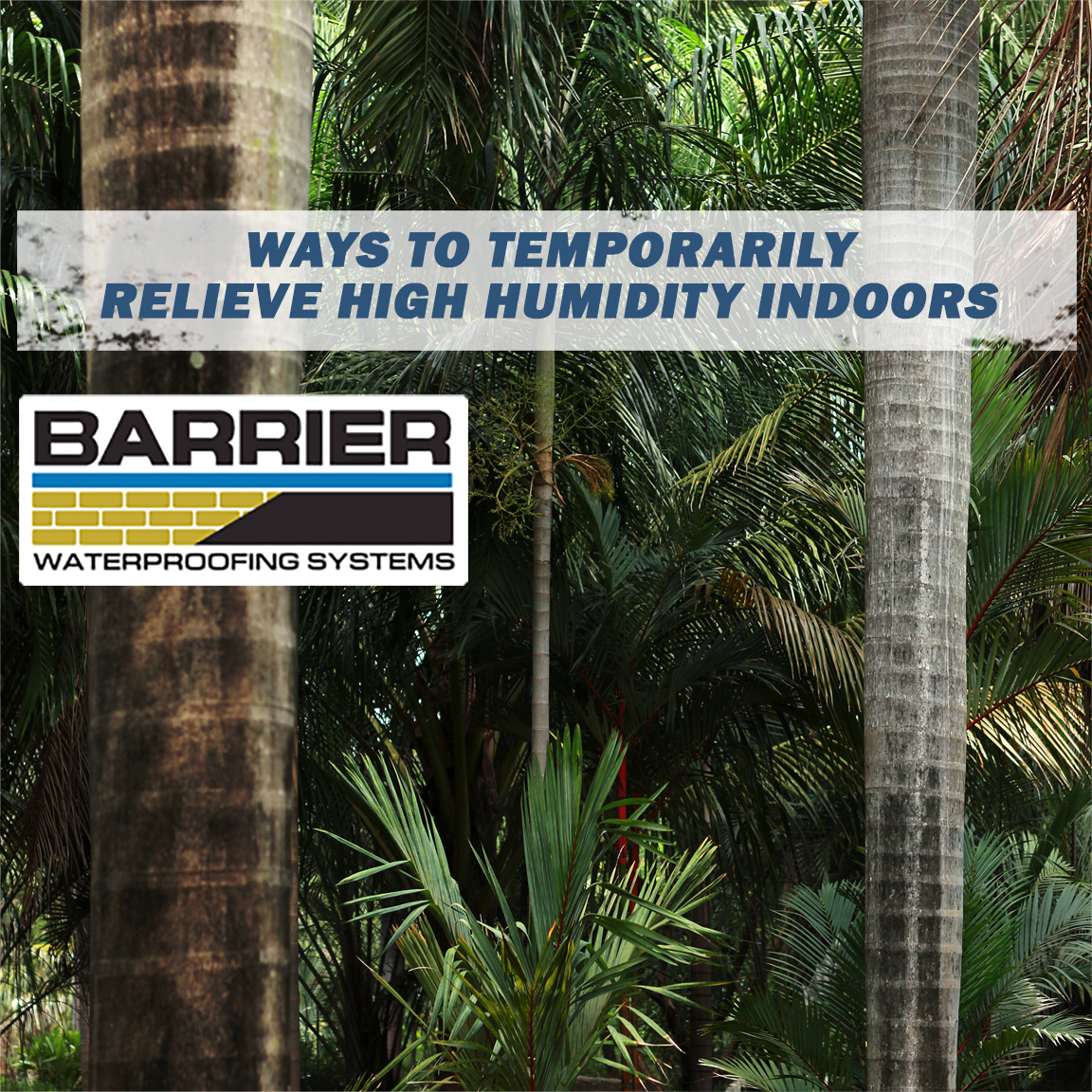 Ways to Temporarily Relieve High Humidity Indoors | BARRIER Waterproofing