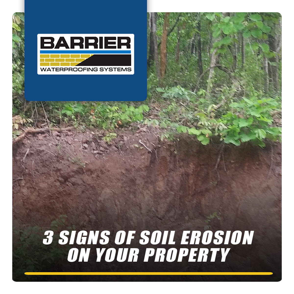 3-Signs-Of-Soil-Erosion-On-Your-Property