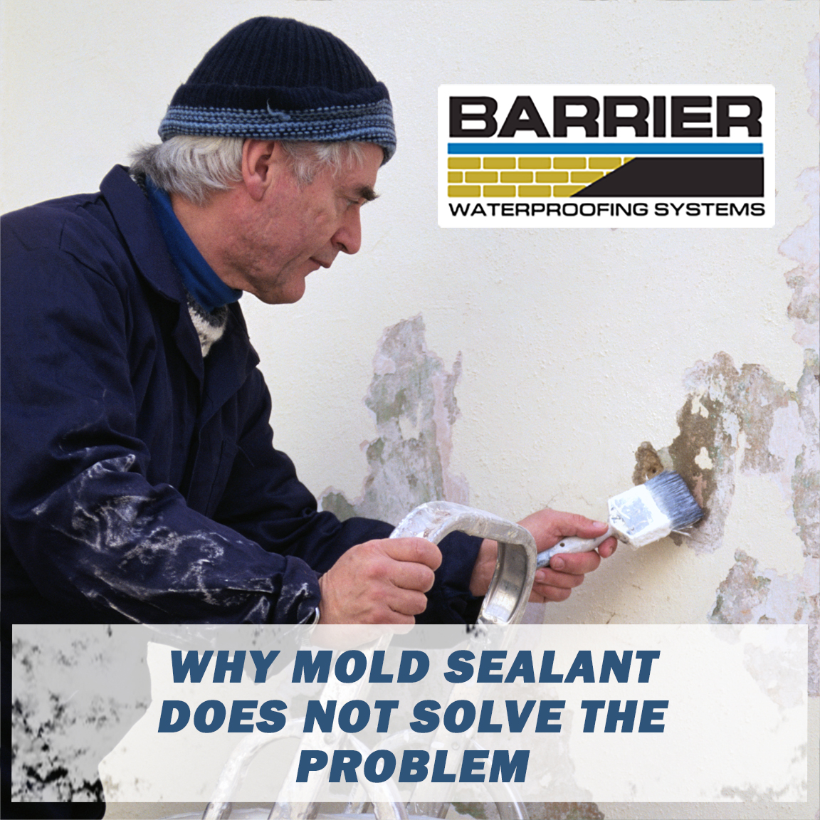 Why Mold Sealant Does Not Completely Remediate the Problem | BWS Nashville TN