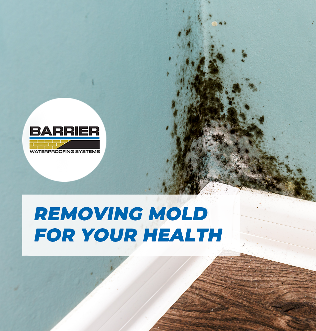 Nashville, TN - The Importance of Mold Removal Service For Your Health