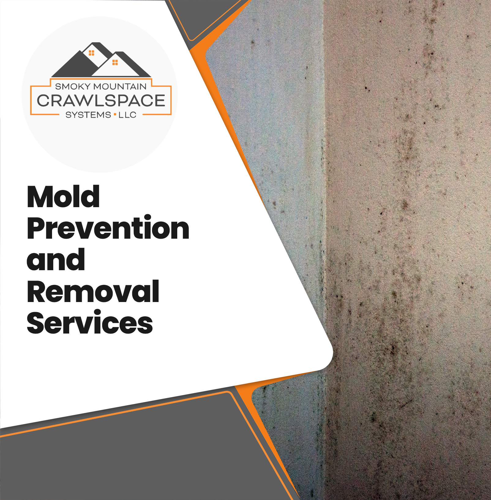 Crawl Space and Basement Mold Prevention and Removal | Smoky Mountain Systems
