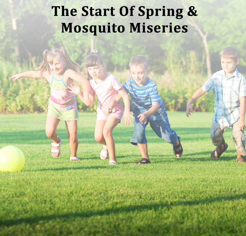 Nashville, TN - The Start Of Spring &amp; Mosquito Miseries | Pest Control News