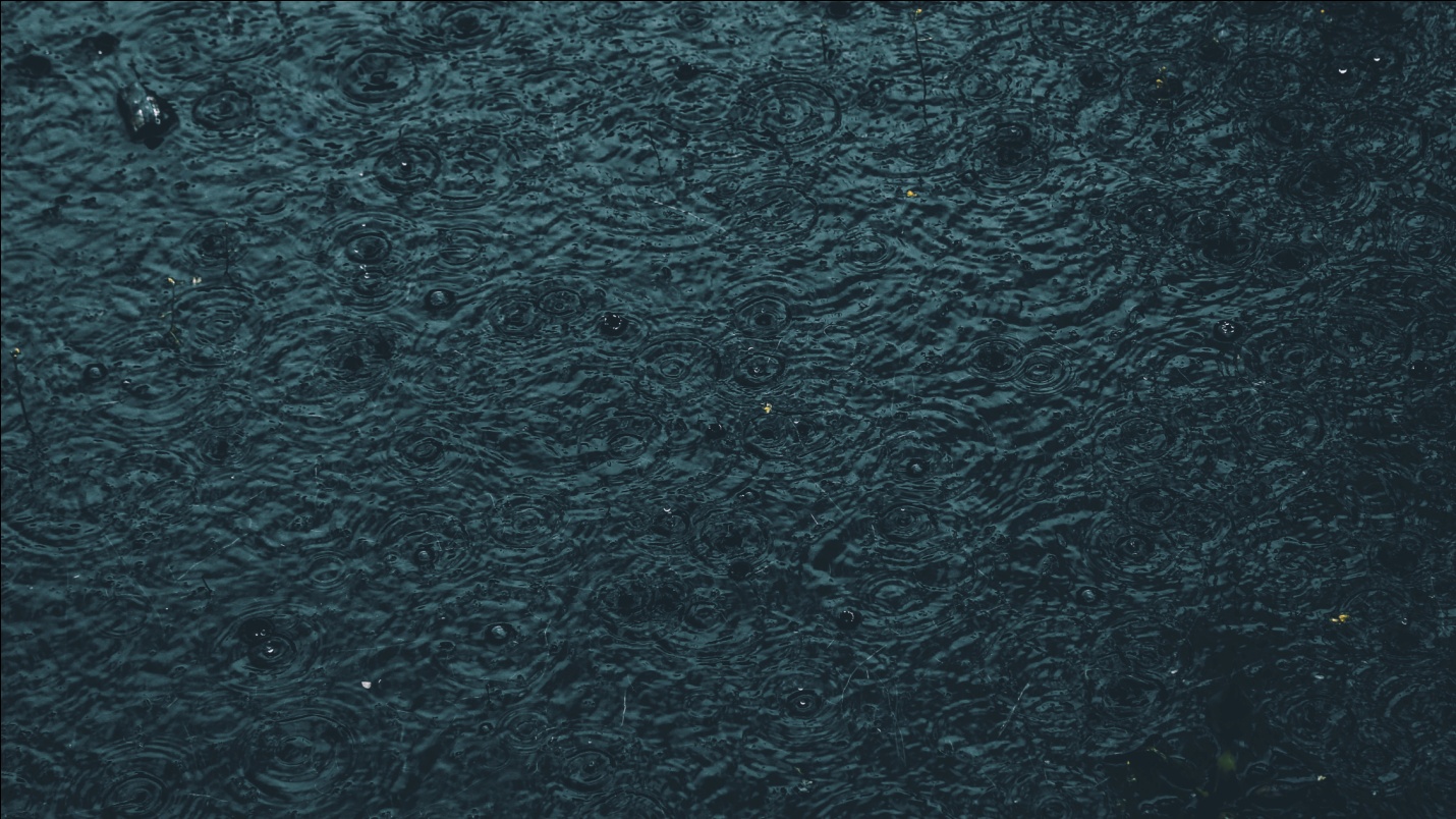 Wet Carpet