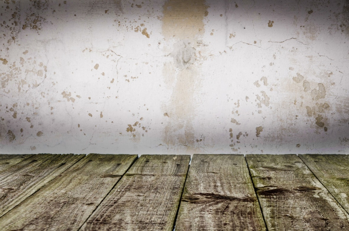 Mold