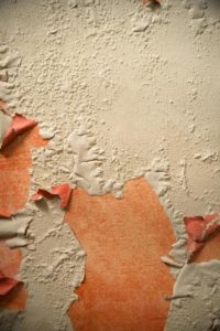 Mold Cleanup