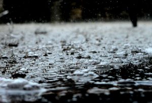 rainy season