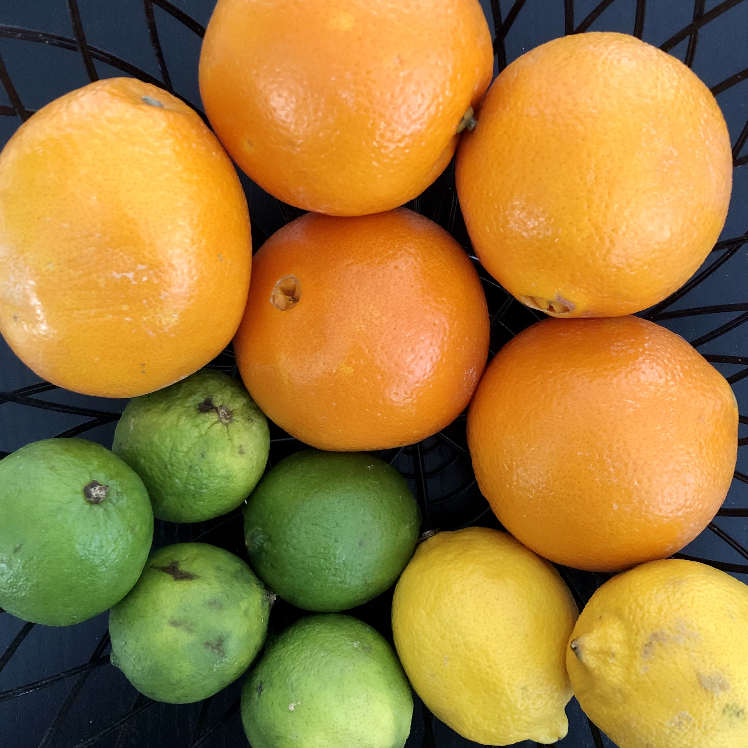 Oakland, CA – How To Support My Child’s Immune System Using Diet, Herbs, &amp; More