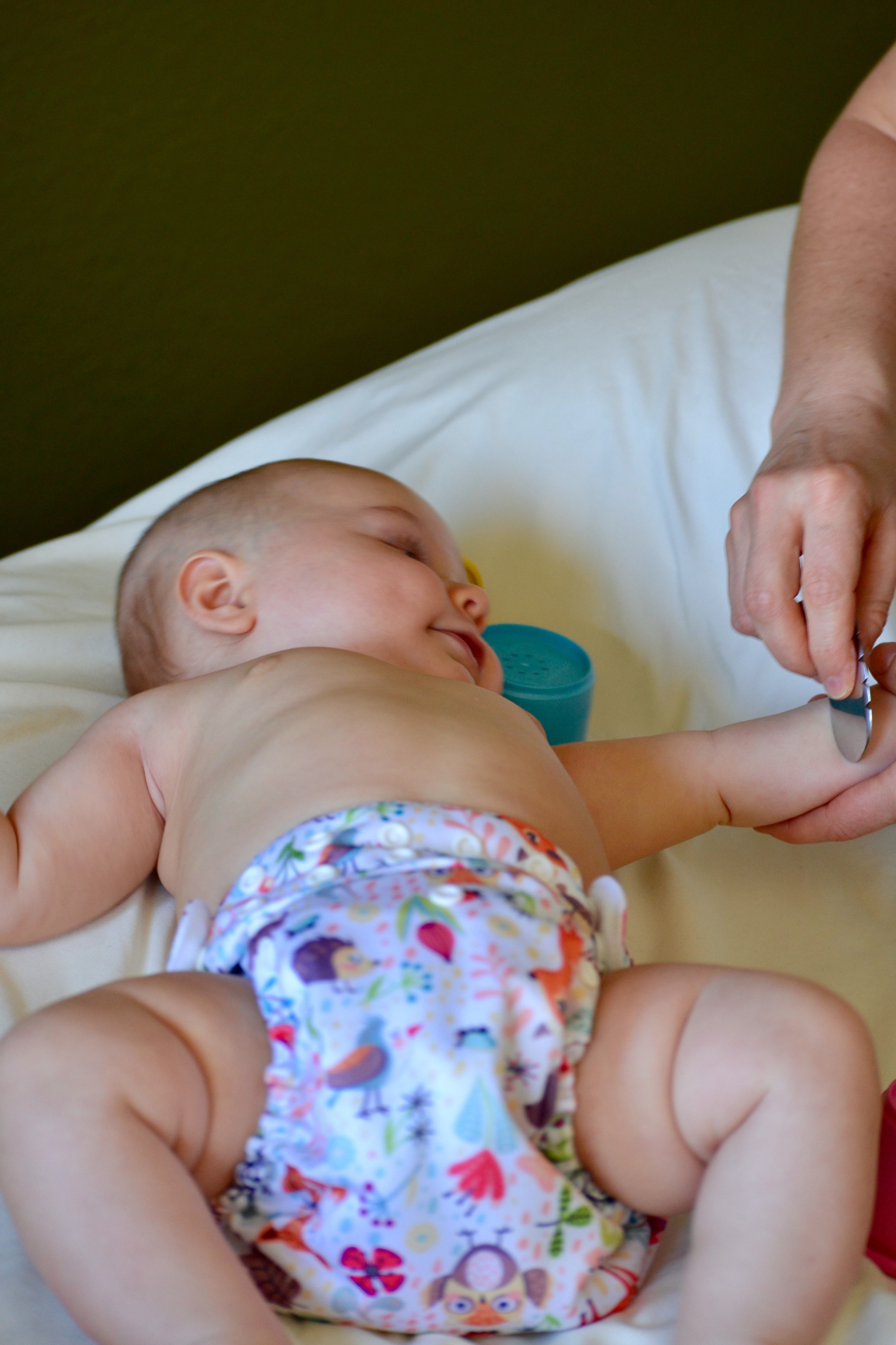 Oakland, CA – How to Help My Child with Digestion Using Acupuncture and Herbs