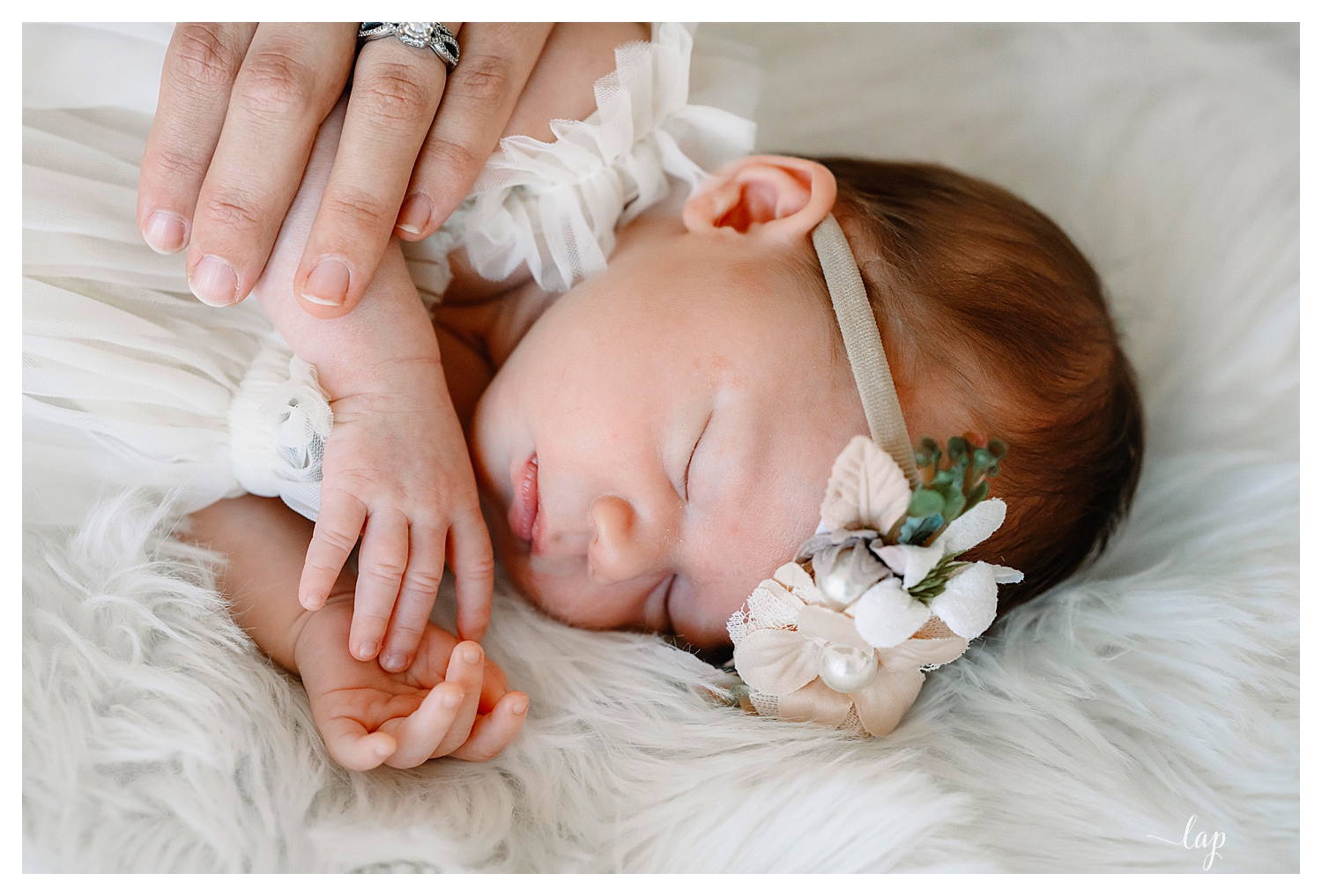 Newborn Photography