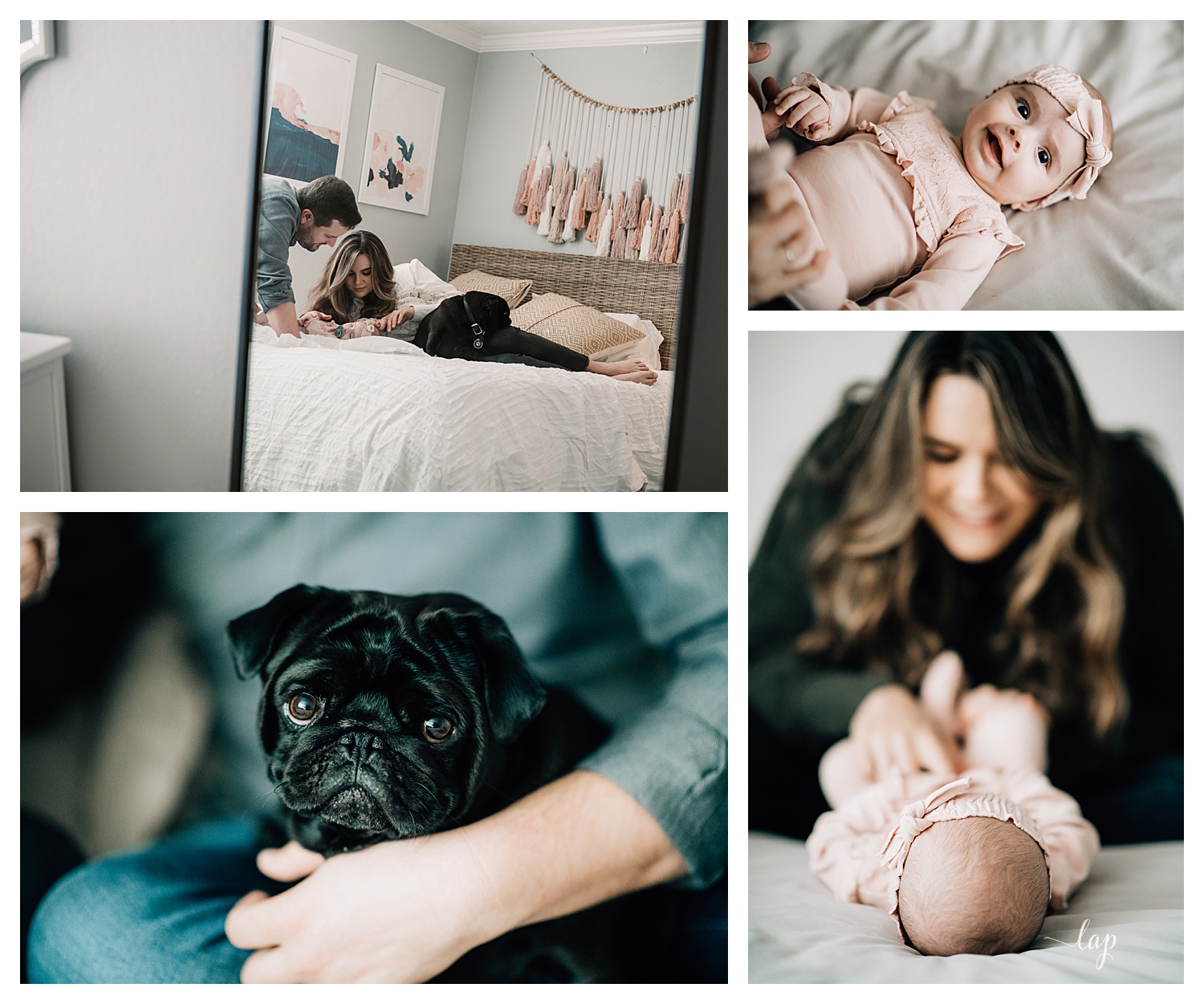 Newborn Photography