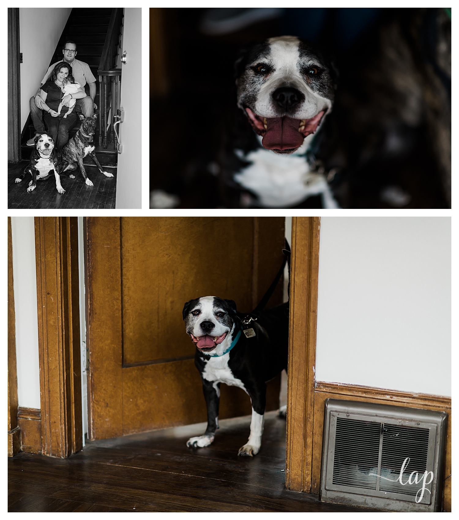 Family at home with dog