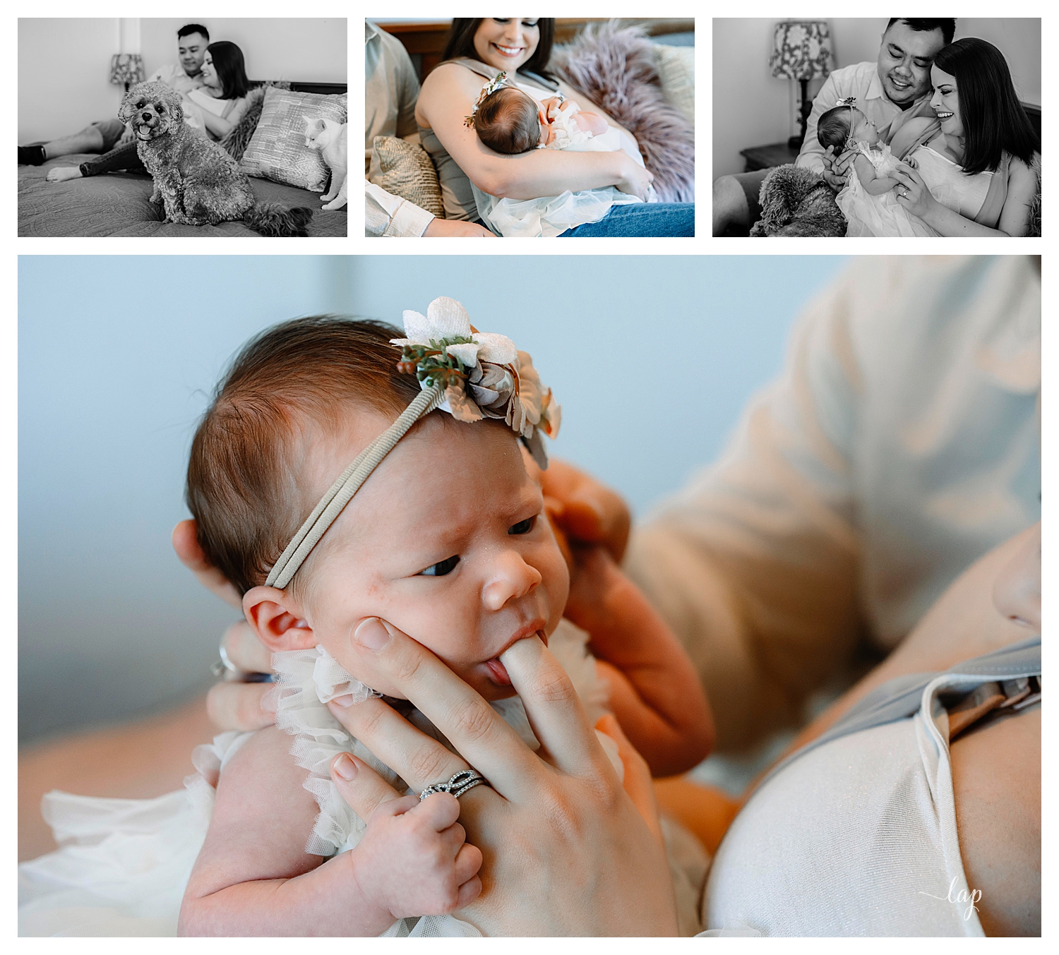 Newborn Photography