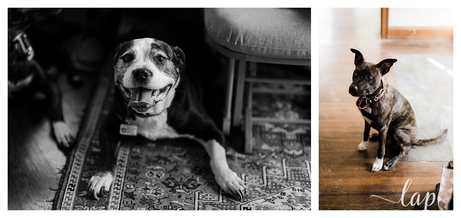 Family at home with dog