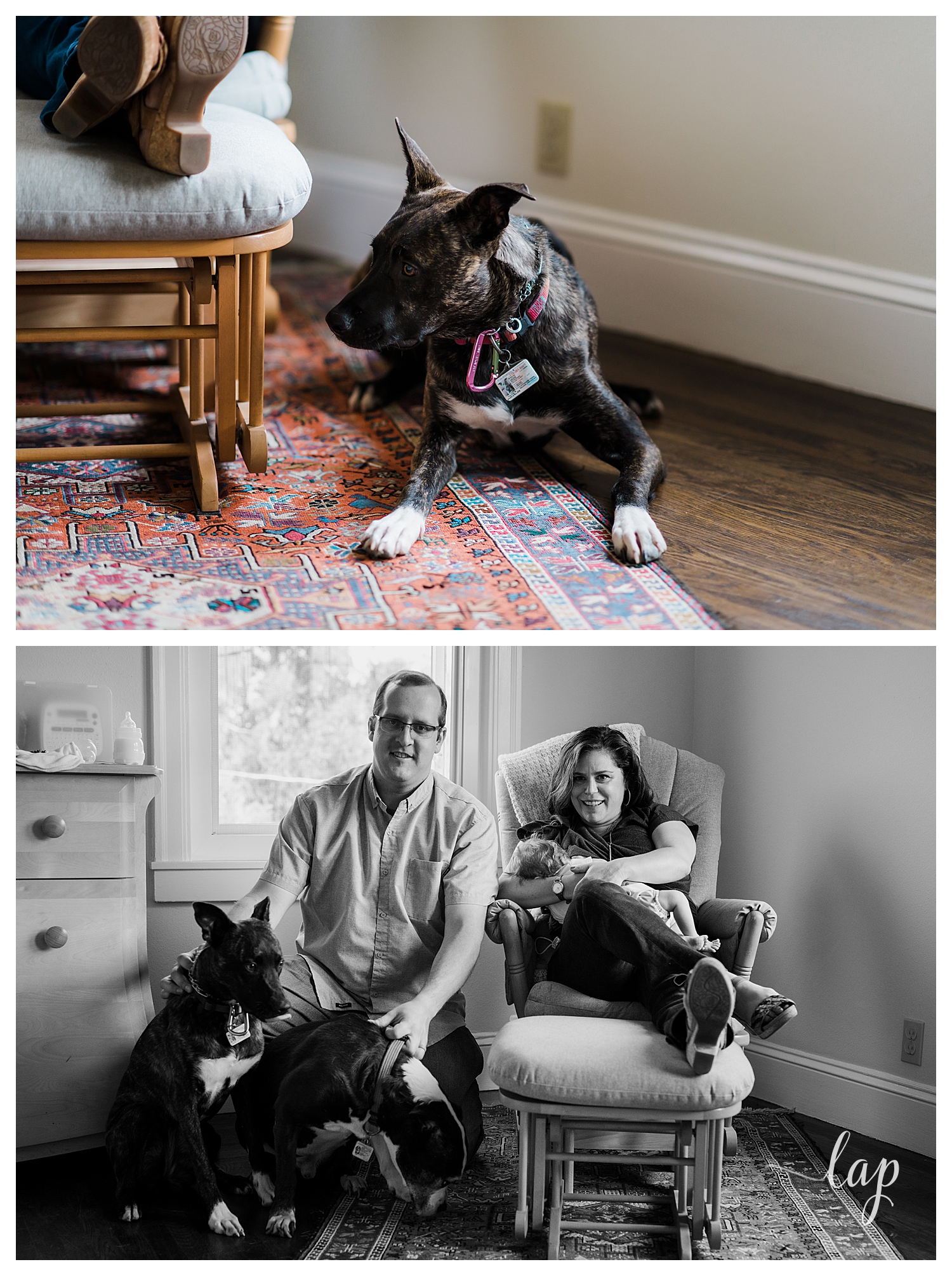 Family at home with dog