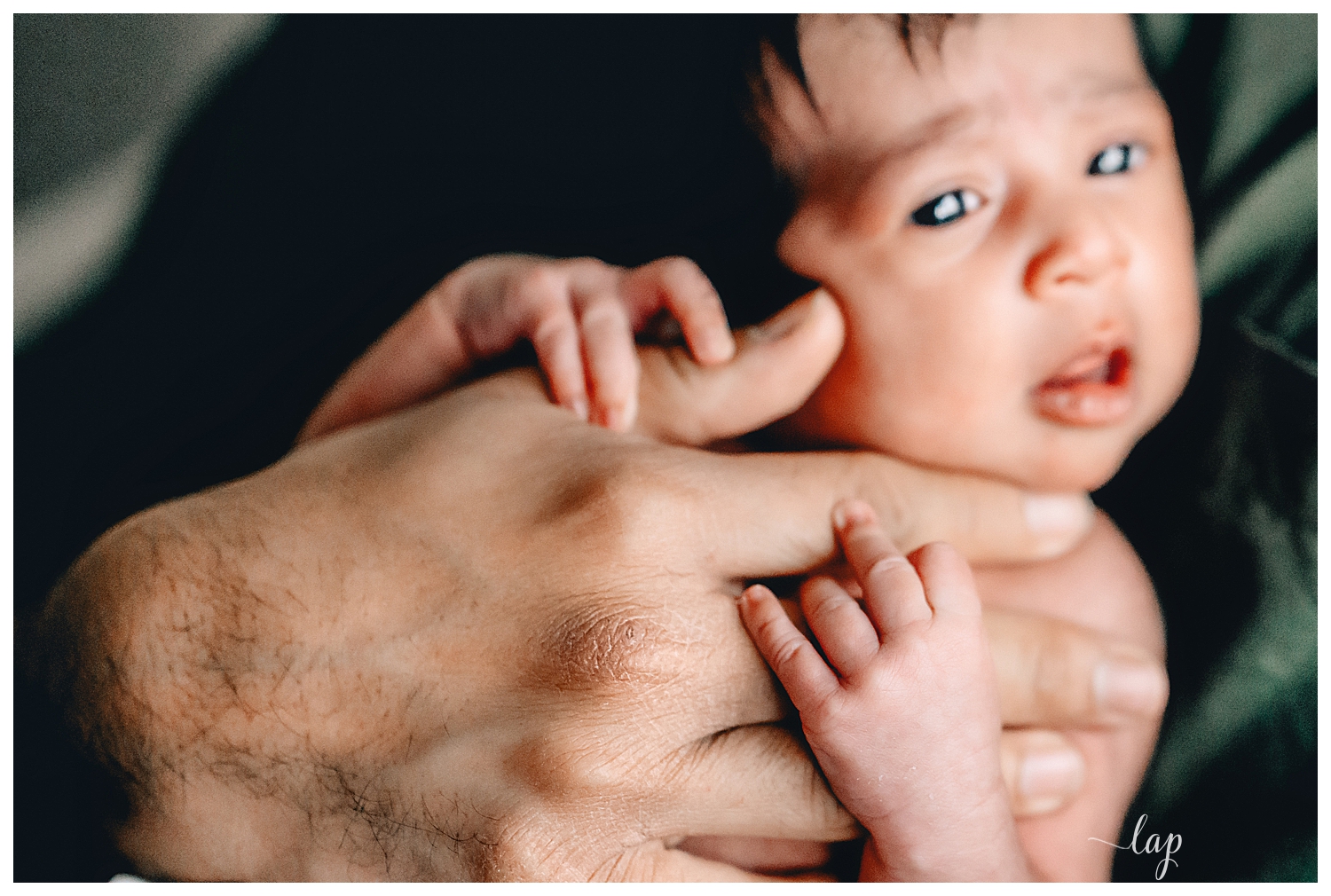Lafayette, CA - Questions to Ask Your East Bay Lifestyle Newborn Photographer