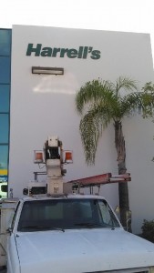 Site for the new exterior building sign