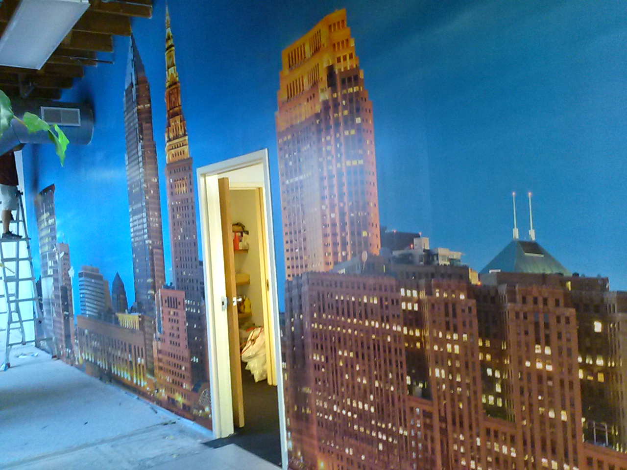 Wall mural by Epic Signs & Graphics in Parma, Oh