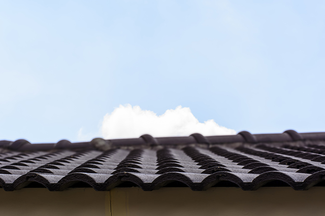 Payson, AZ - Overview: Tile Roof Maintenance Services from Roofing Companies