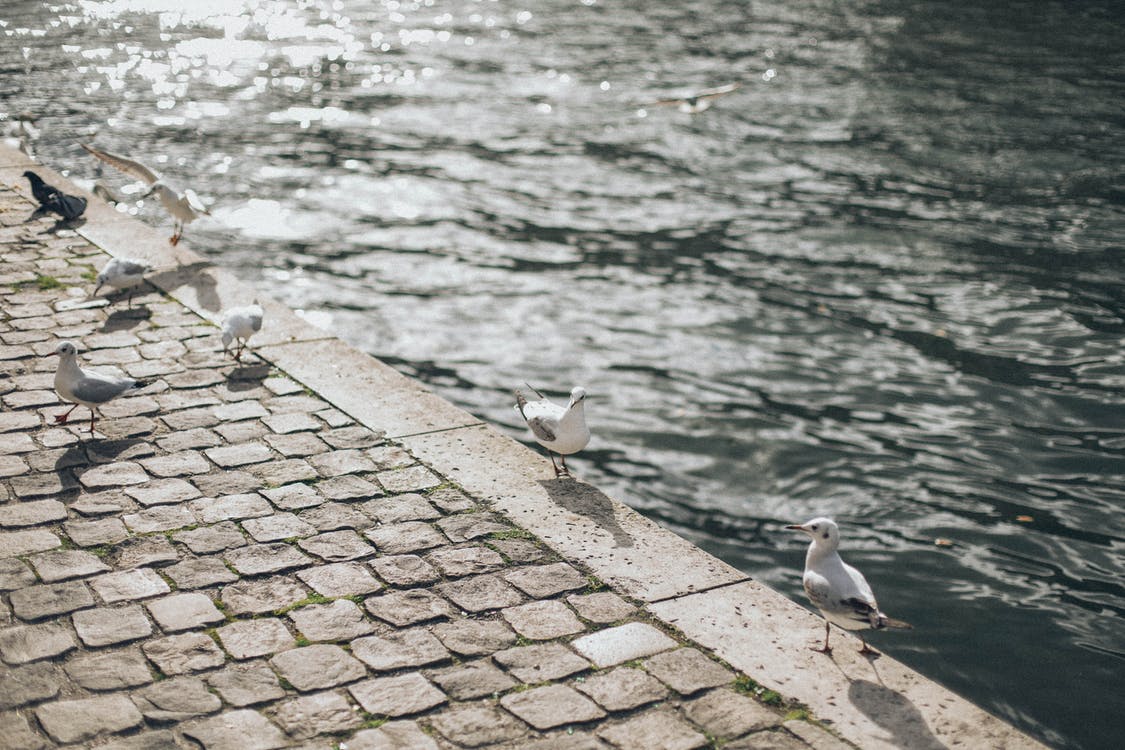 Recycled Cobblestone
