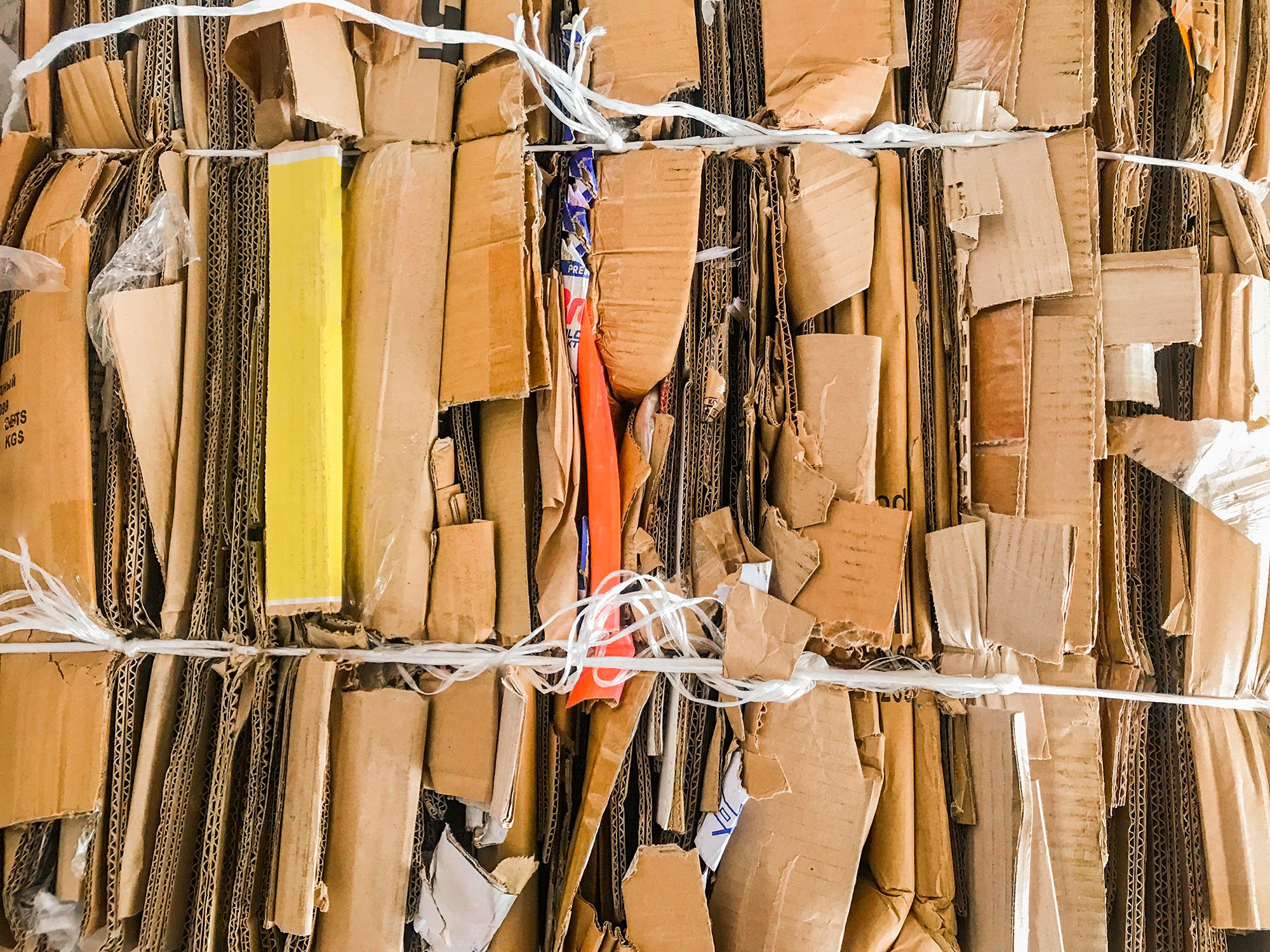 Philadelphia, PA – Buy Recycled Cardboard Products at Our Recycling Facility