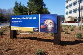 images (13)