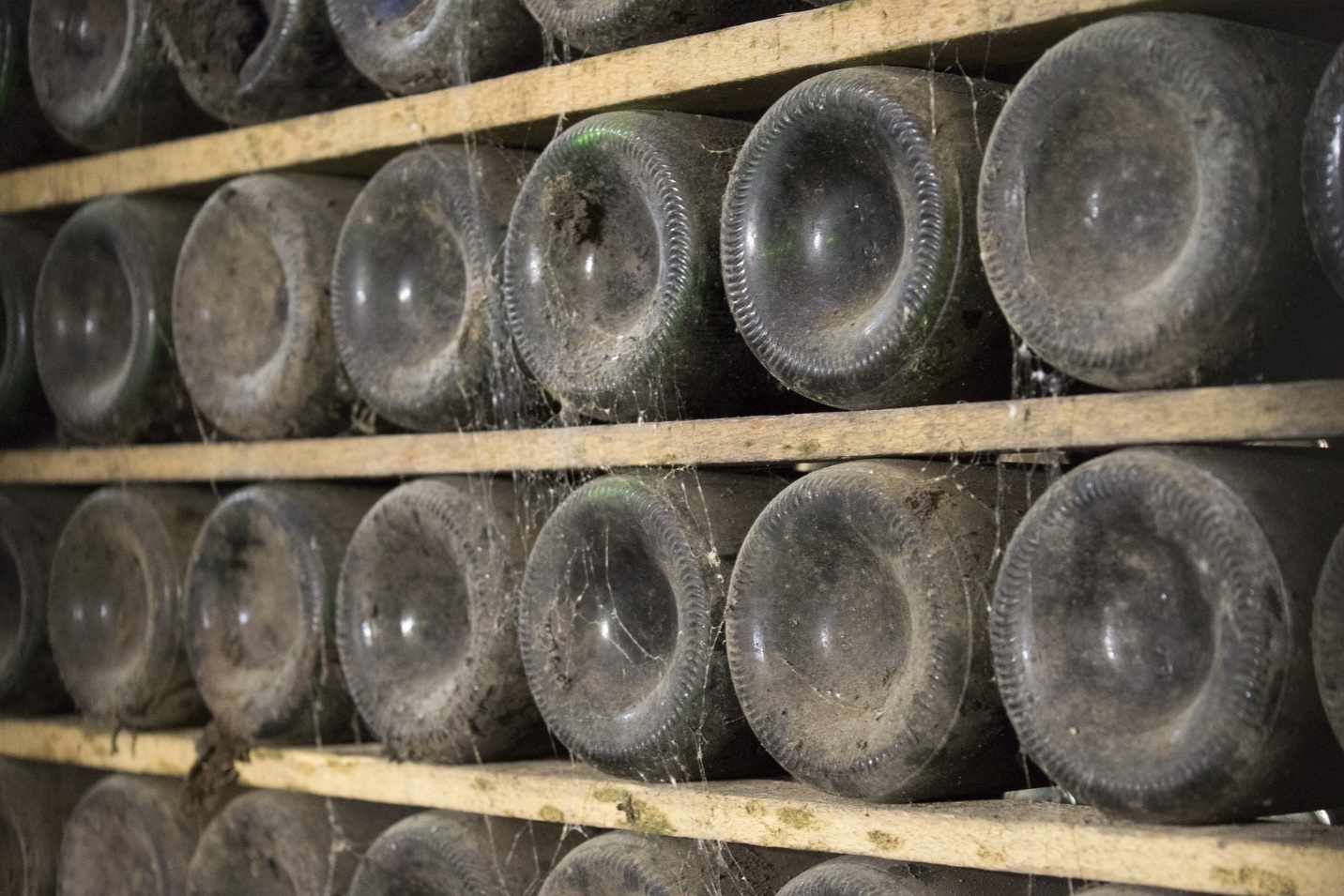 Mold Growth