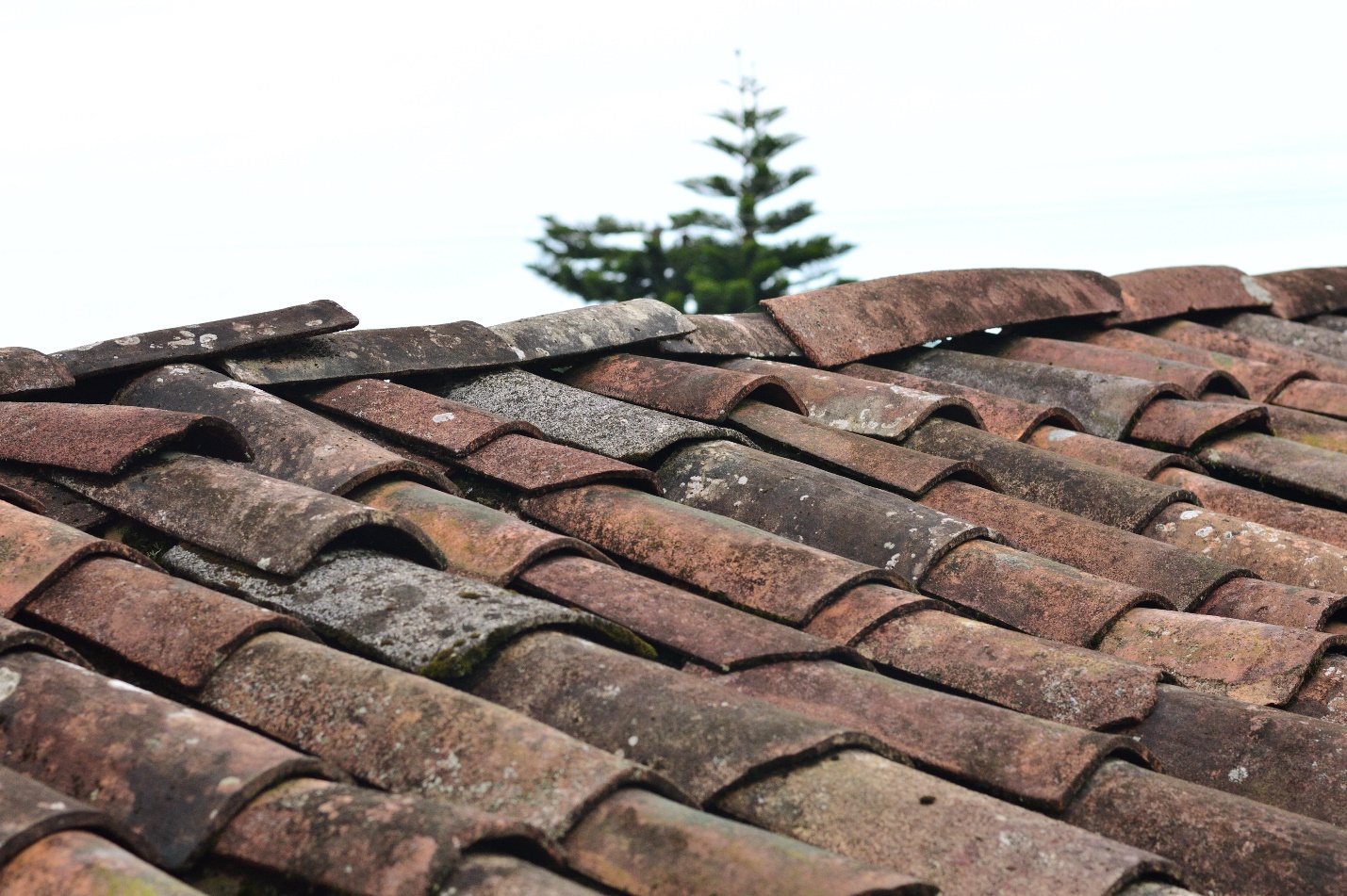 Leaky Roof