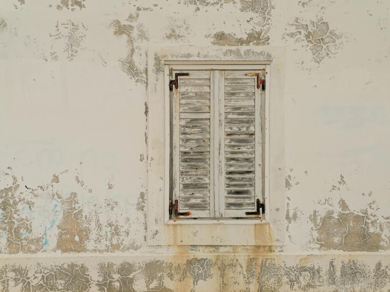 Mold Remediation
