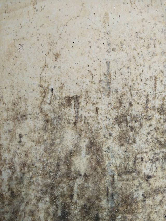 Mold