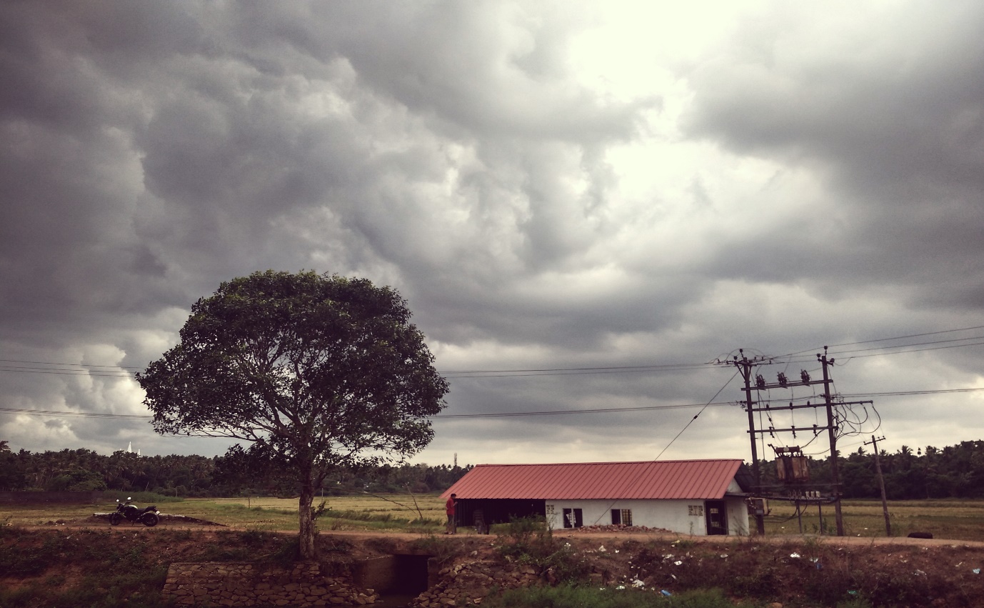 Monsoon Season