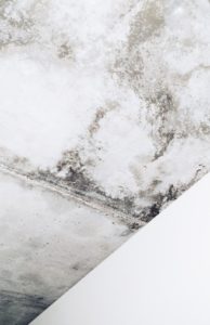 Discoloration on Walls