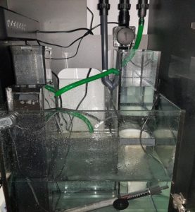 sump pump
