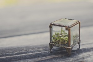 portland oregon wedding photographer W_N-13