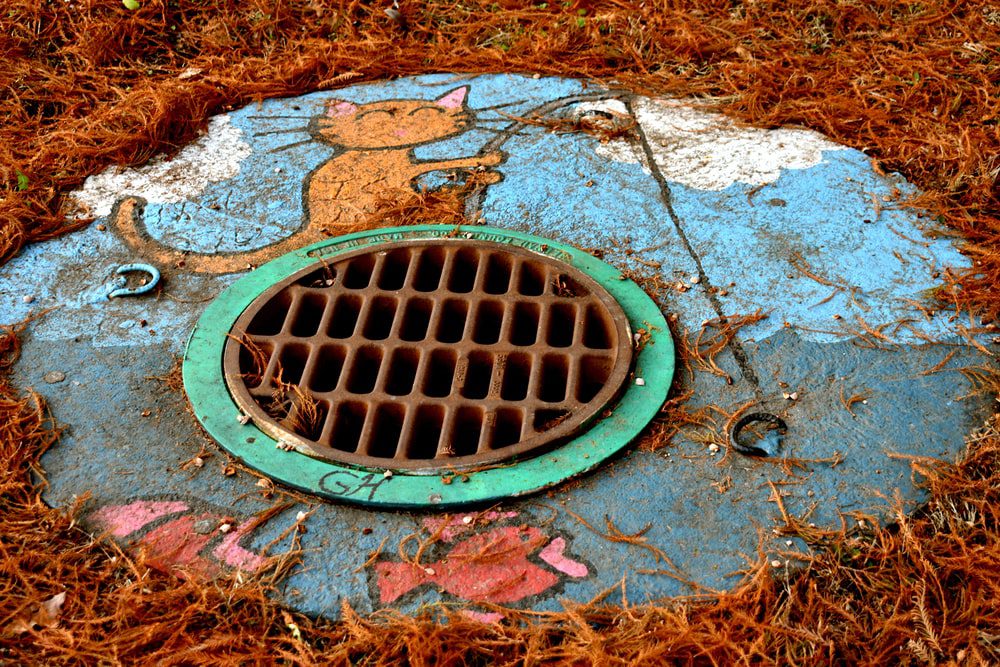 Sewage Cleaning